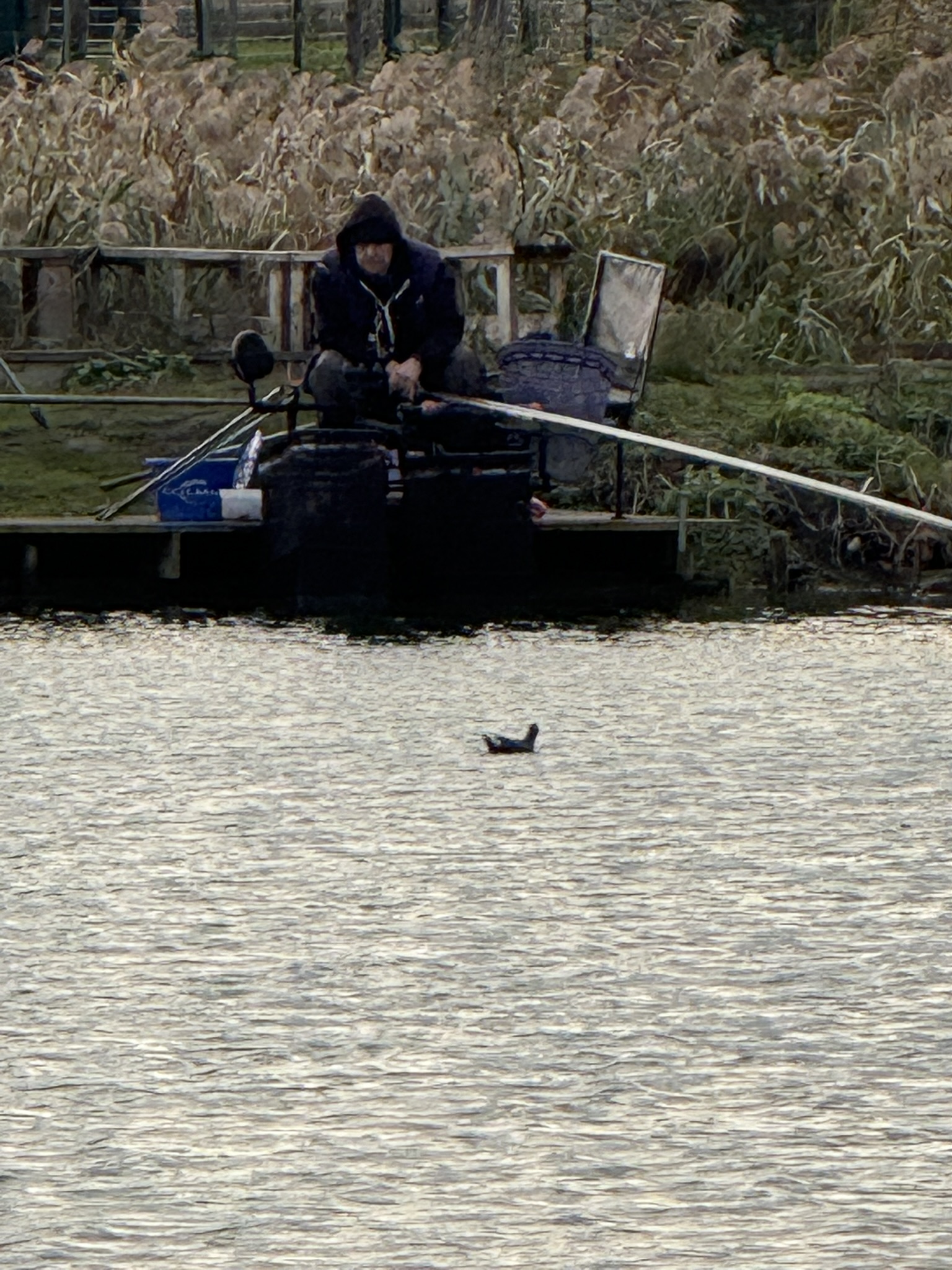 20251111 Koningvissing IMG_0924